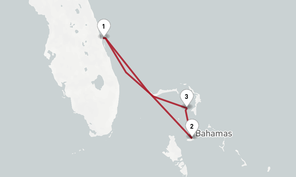 12 27発 札幌発 ディズニー ドリーム ディズニーの ディズニー プライベートアイランド クルーズとディズニーリゾートで2泊 大満喫クルーズ8日間 Cruisemans